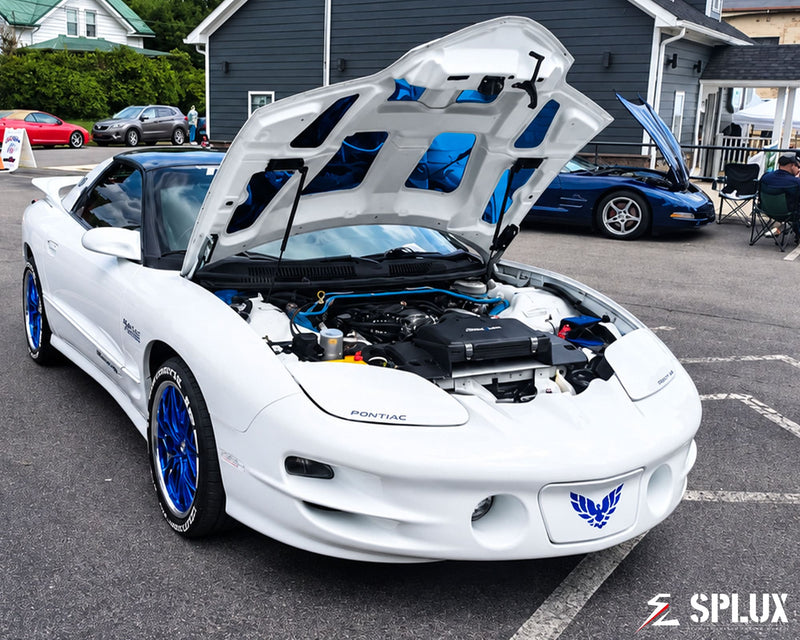 rims for 2001 pontiac firebird on a White 2001 Pontiac Firebird Trans AM WS6