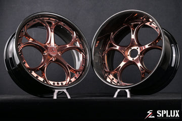 campagna t-rex wheels for the 2014 Campagna V13R in a forged 2-piece build