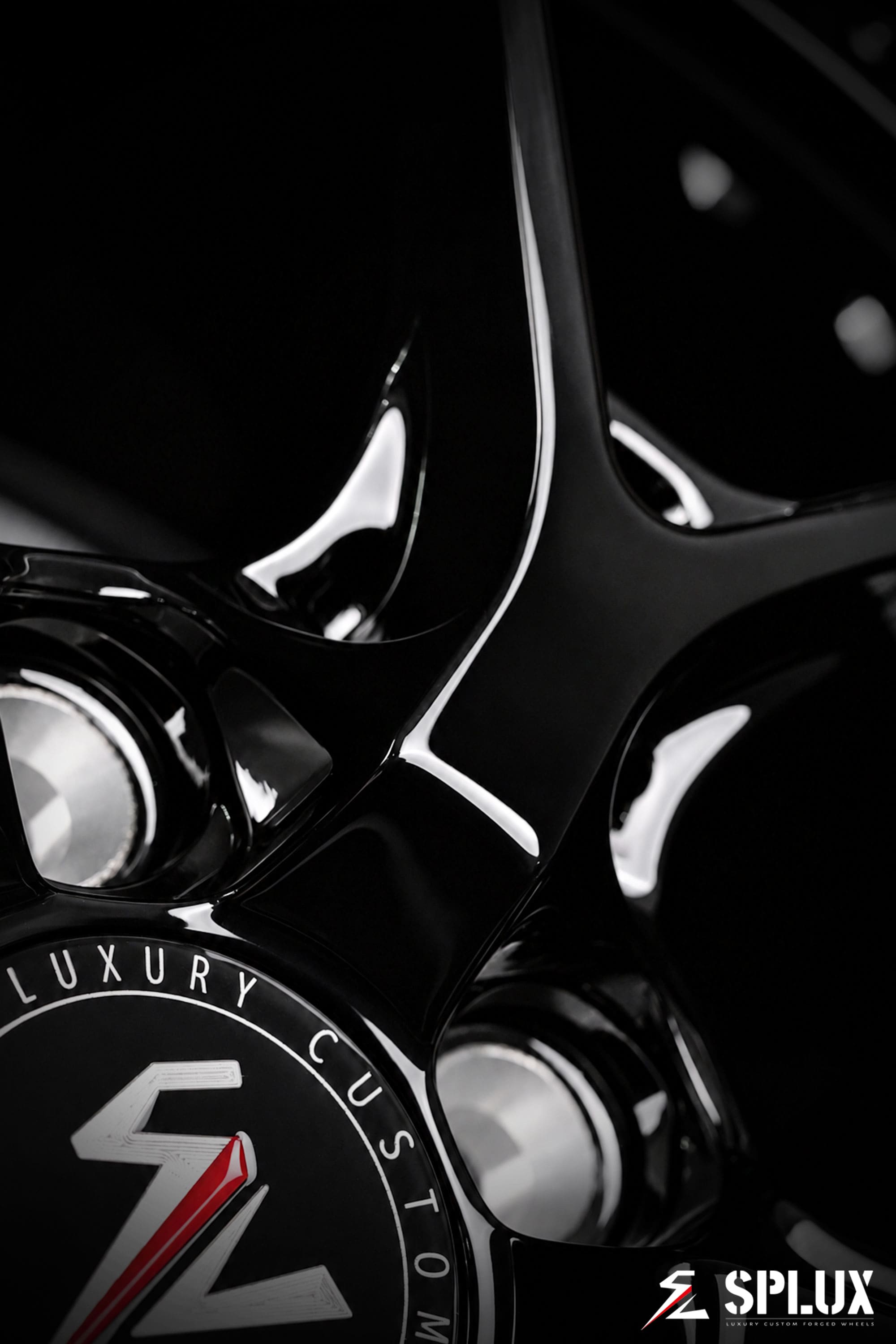SD-02 forged wheel on the F100, highlighting the multi-piece structure and dark color