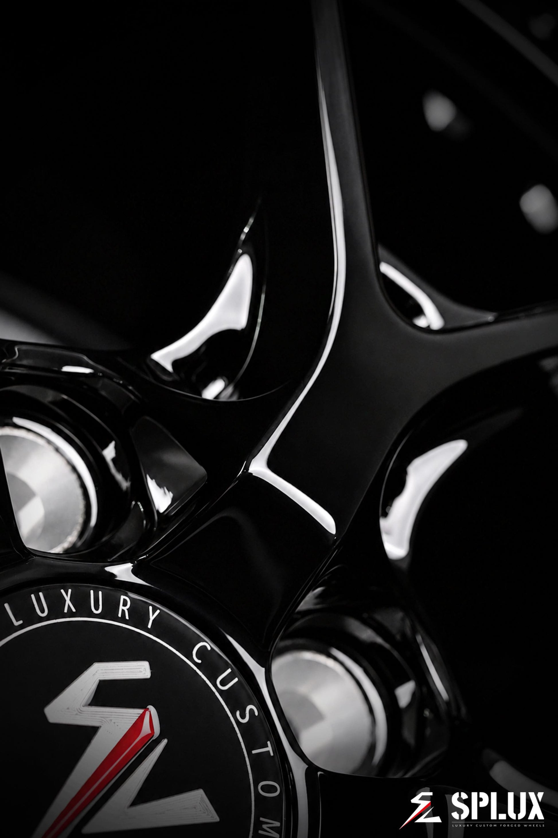 SD-02 forged wheel on the F100, highlighting the multi-piece structure and dark color
