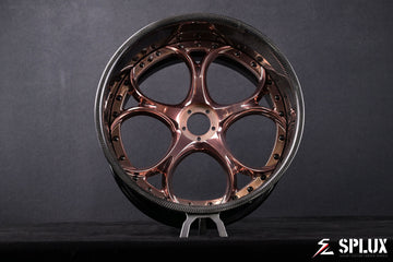 campagna t-rex wheels for the 2014 Campagna V13R in a forged 2-piece build