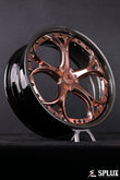 campagna t rex rear wheels in a forged 2-piece SD-03 build