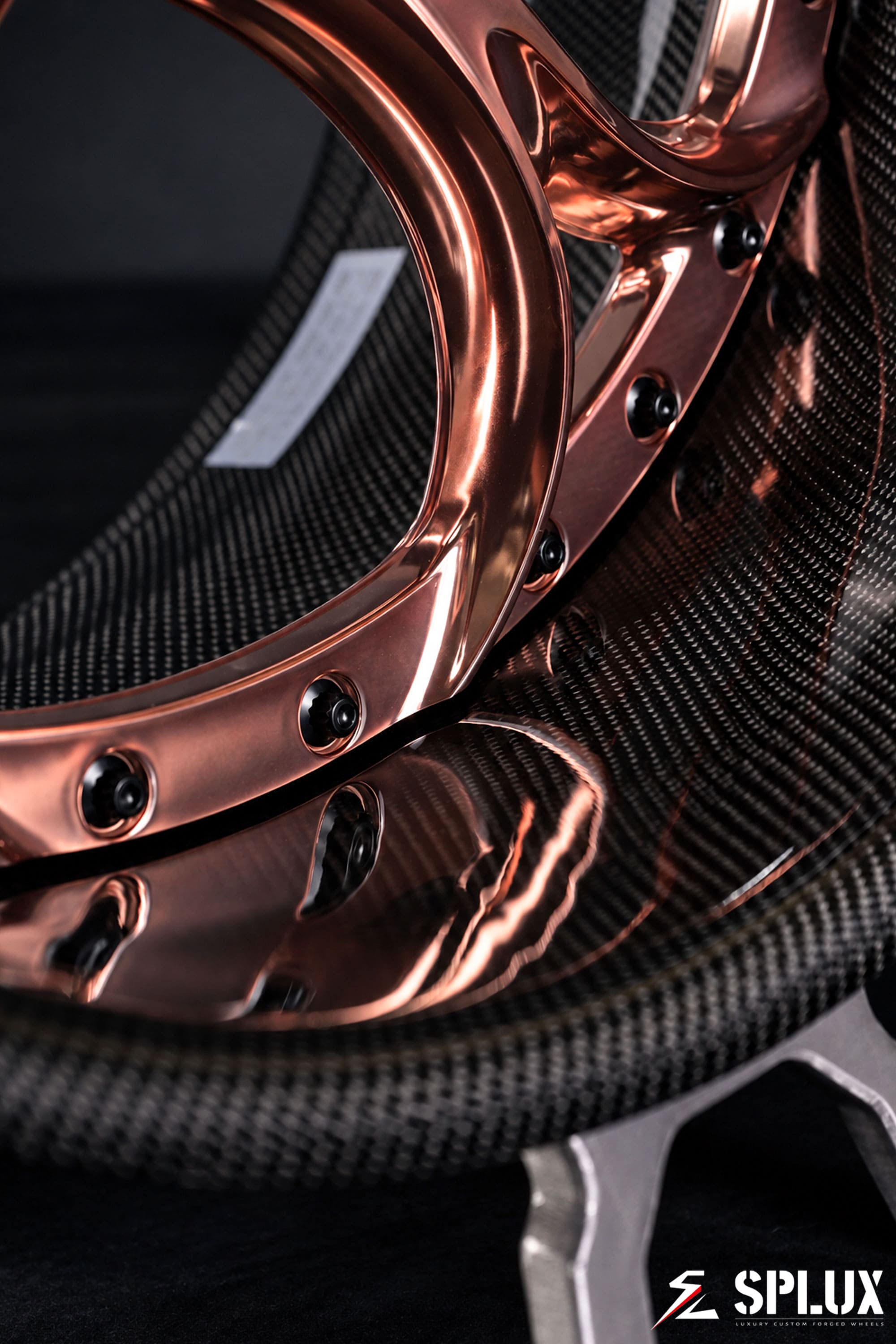campagna t-rex wheel in the SD-03 forged 2-piece series