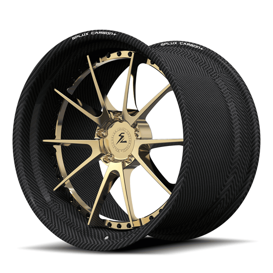 RCF-10 Real Carbon Fiber 2-Piece